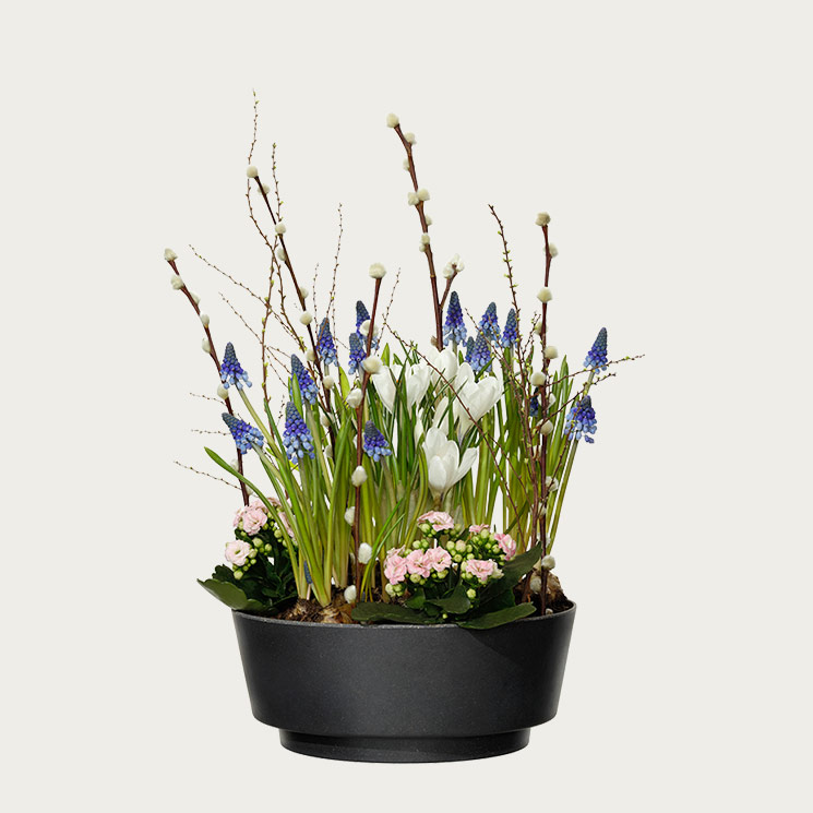 Plantering vide