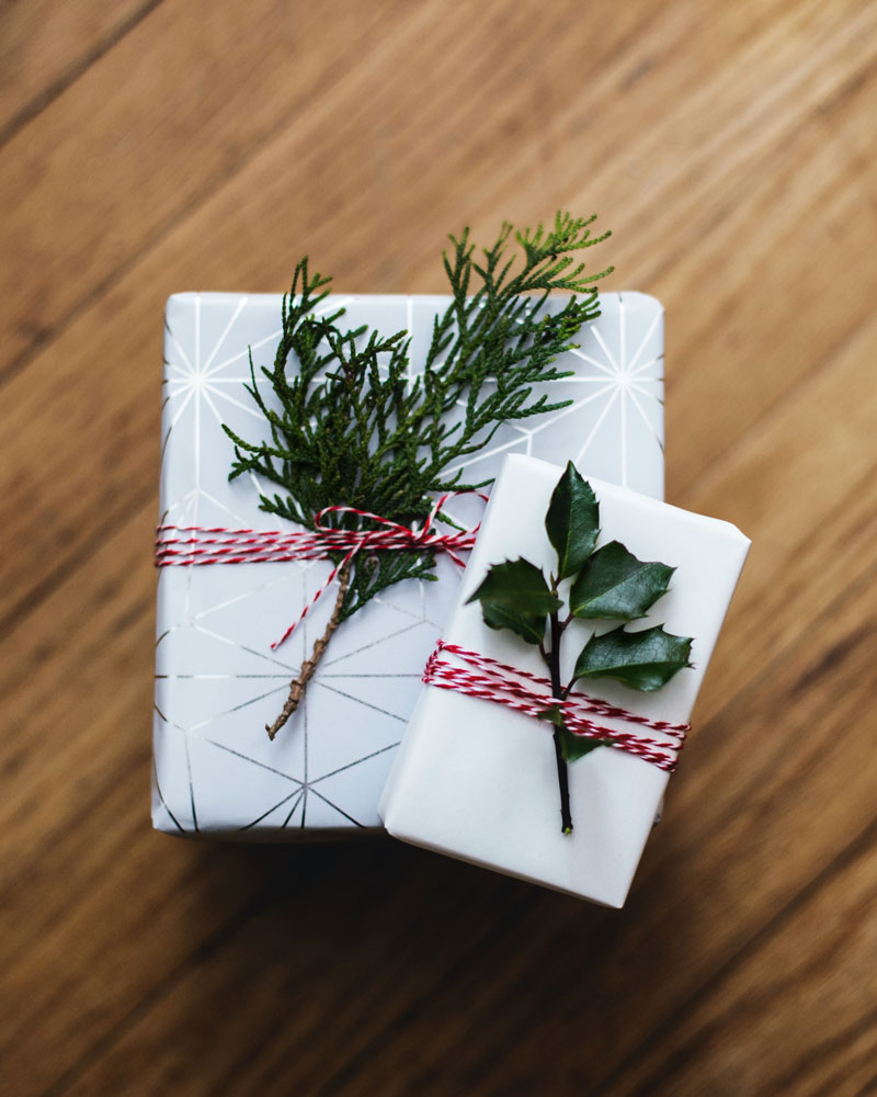 Enkelt-grönt-Kari-Shea-Unsplash-webb.jpg