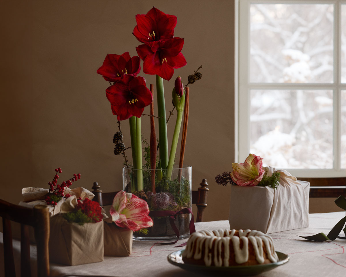 Inspiration_2023_4-sätt-att-pynta-med-amaryllis_4.5.jpg